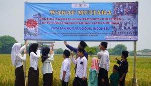 Wakaf Lahan Produktif Pertanian Untuk Ketahanan Pangan Yatim dan Dhuafa
